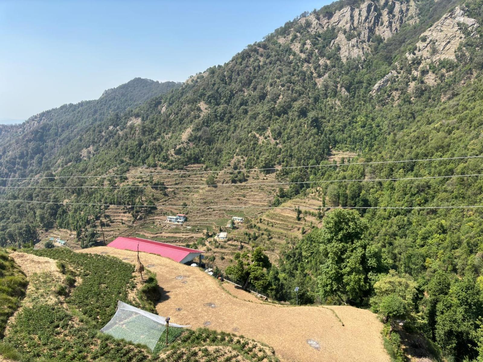 The Groove Garden Dhanolti Dhanaulti Extérieur photo